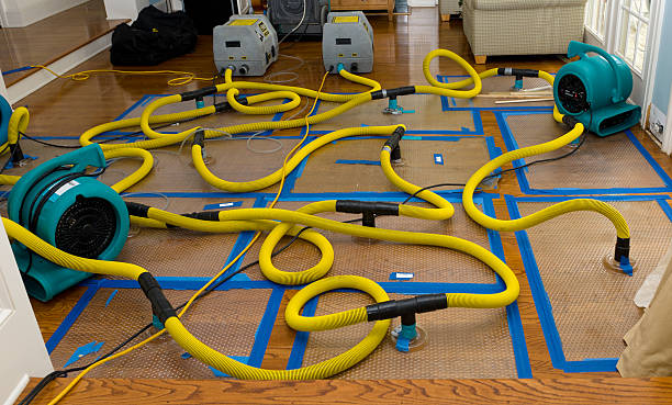 Professional Water Damage Repair technician working in Hopedale, OH